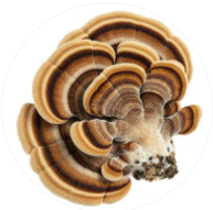 Alt image